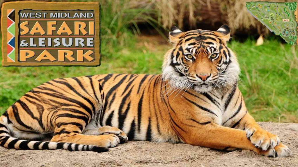 Safari Park West Midlands